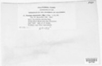 Image Associated With the Occurence